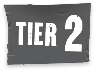 Tier 2