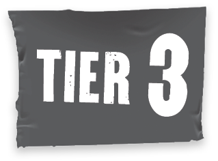 Tier 3